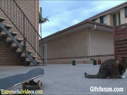 Acid Gifdump, December 7 (25 gifs)