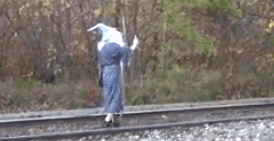 Acid Gifdump, December 7 (25 gifs)