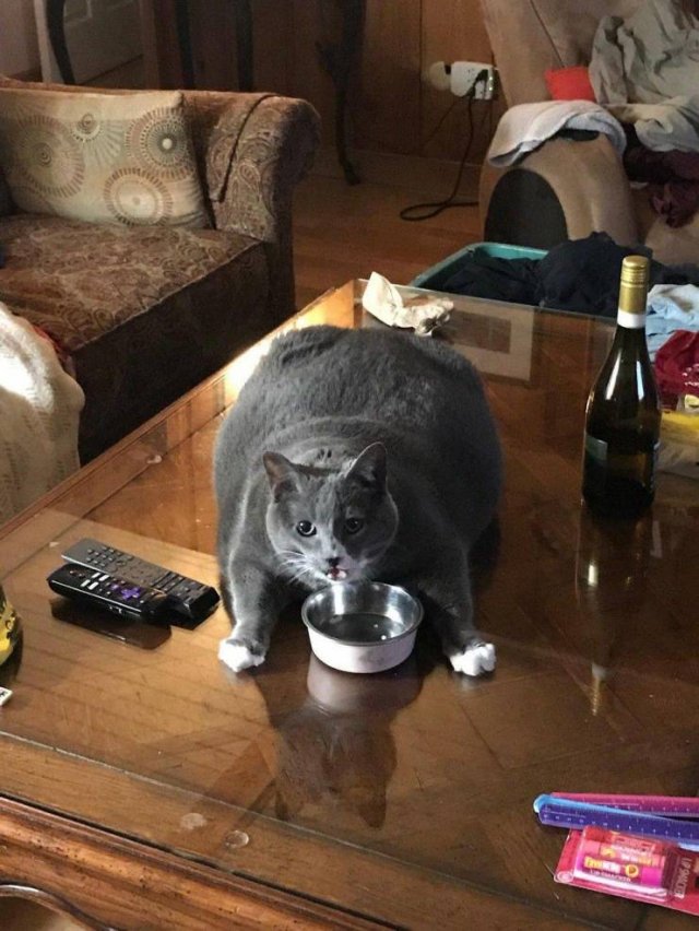 Acid Picdump. Part 1 (95 pics)