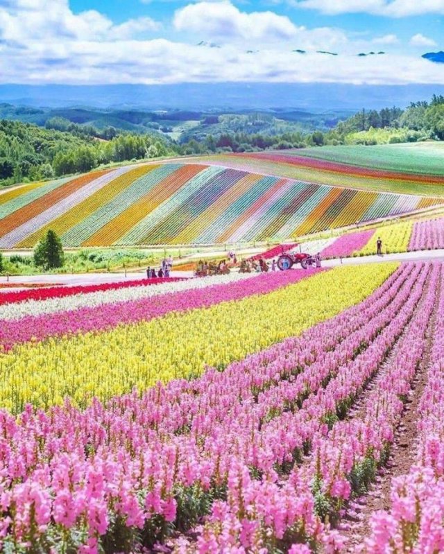 Acid Picdump. Part 1 (95 pics)