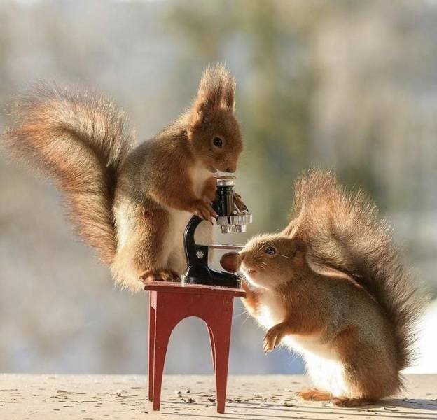 Acid Picdump. Part 1 (95 pics)