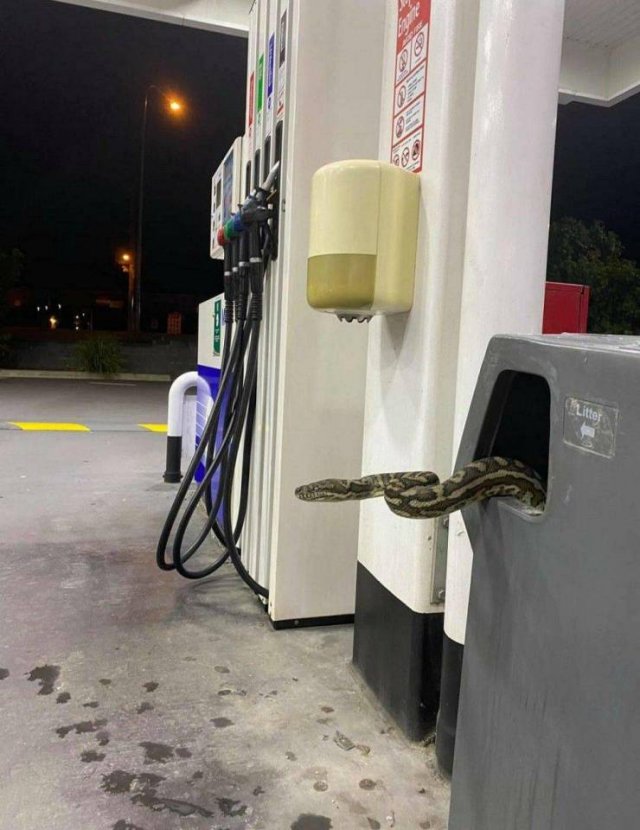 Acid Picdump. Part 1 (95 pics)