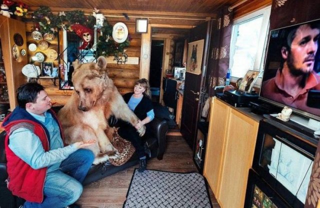 Acid Picdump. Part 1 (95 pics)