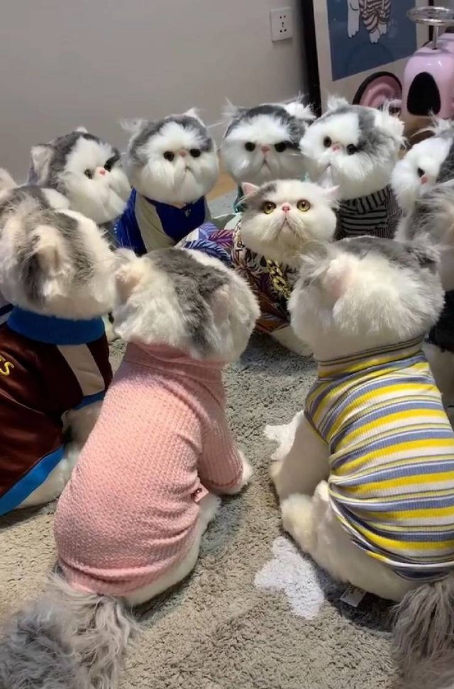 Acid Picdump. Part 1 (95 pics)