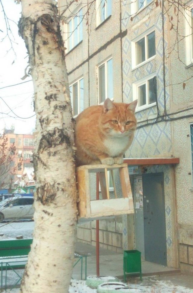 Acid Picdump. Part 1 (95 pics)