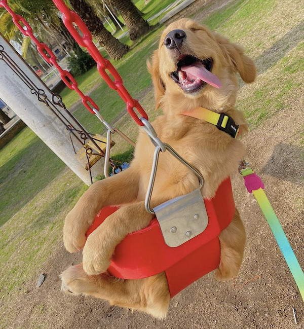 Life Is Beautiful (30 pics)