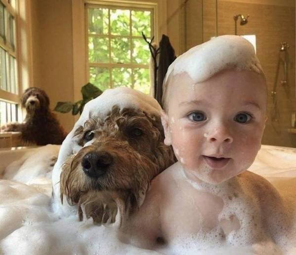 Life Is Beautiful (30 pics)