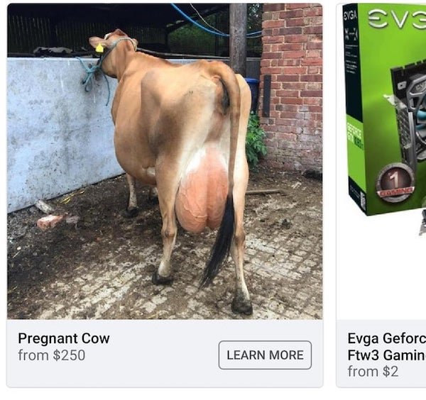 These People Know How To Sell (29 pics)
