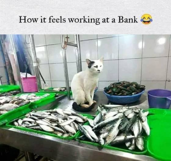 Acid Picdump. Part 2 (51 pics)