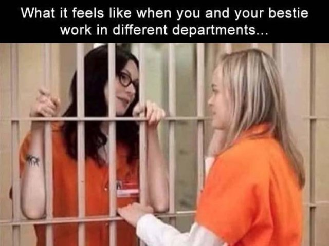 Random Funny Memes (80 pics)