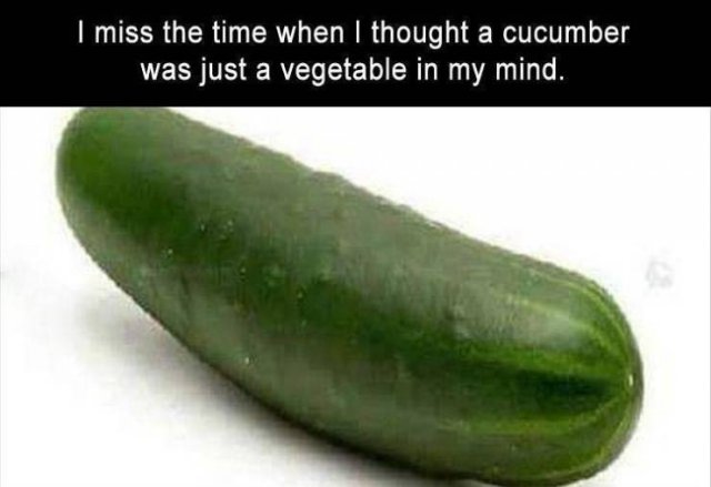 Random Funny Memes (80 pics)