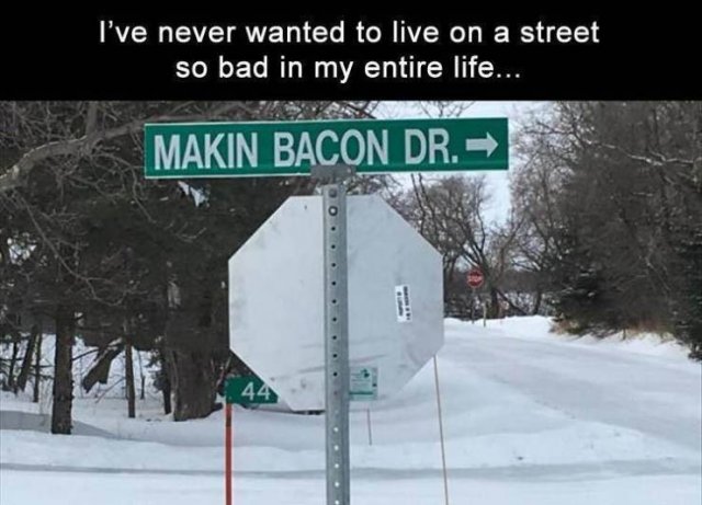 Random Funny Memes (80 pics)