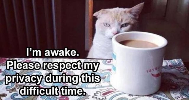 Random Funny Memes (80 pics)
