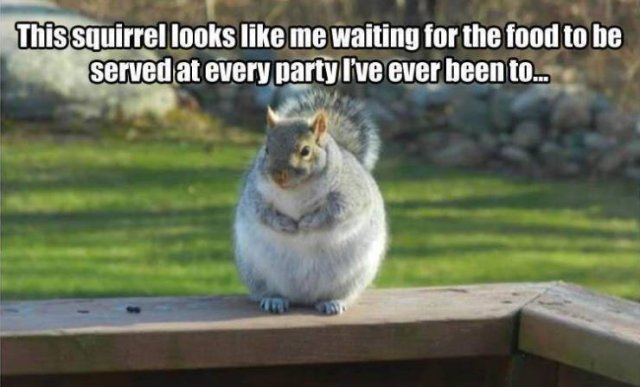 Random Funny Memes (80 pics)