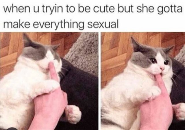 Random Funny Memes (80 pics)