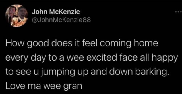 Scottish Tweets (33 pics)