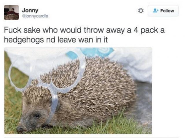 Scottish Tweets (33 pics)
