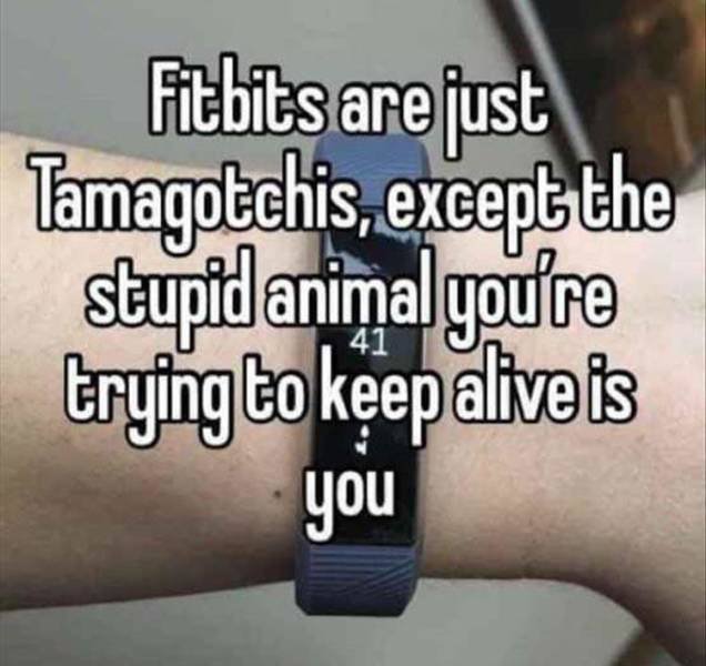 Random Funny Memes (80 pics)