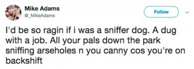 Scottish Tweets (33 pics)