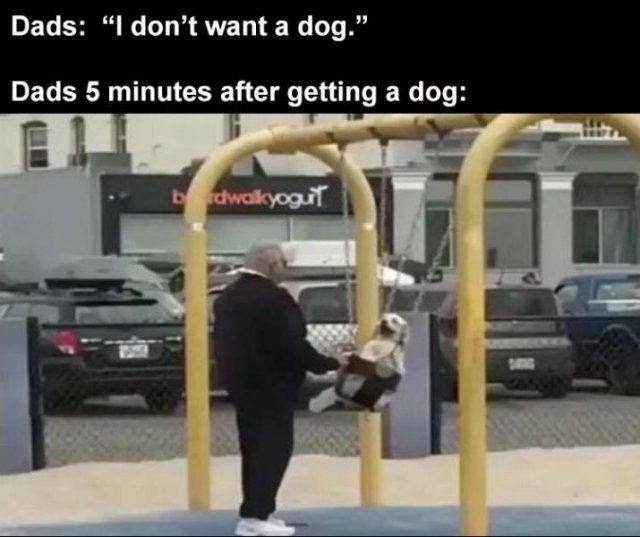 Random Funny Memes (80 pics)