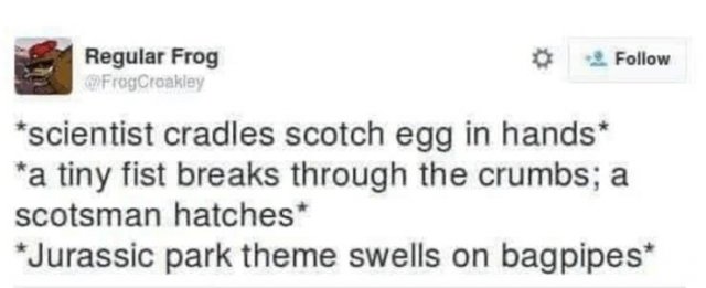 Scottish Tweets (33 pics)