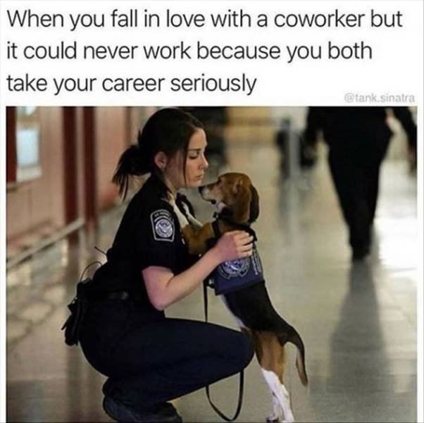 Random Funny Memes (80 pics)