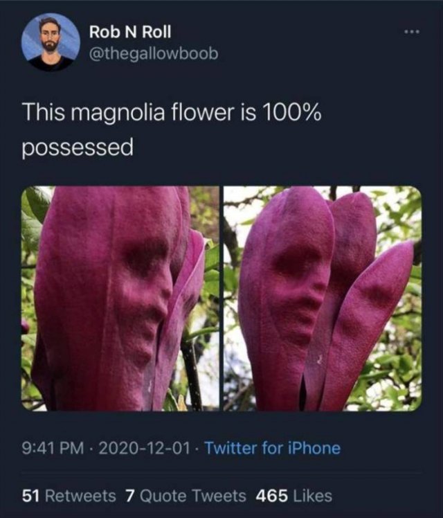 Random Funny Memes (80 pics)