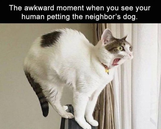 Random Funny Memes (80 pics)