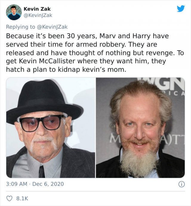 'Home Alone' Fan Fiction: 30 Years After (18 pics)