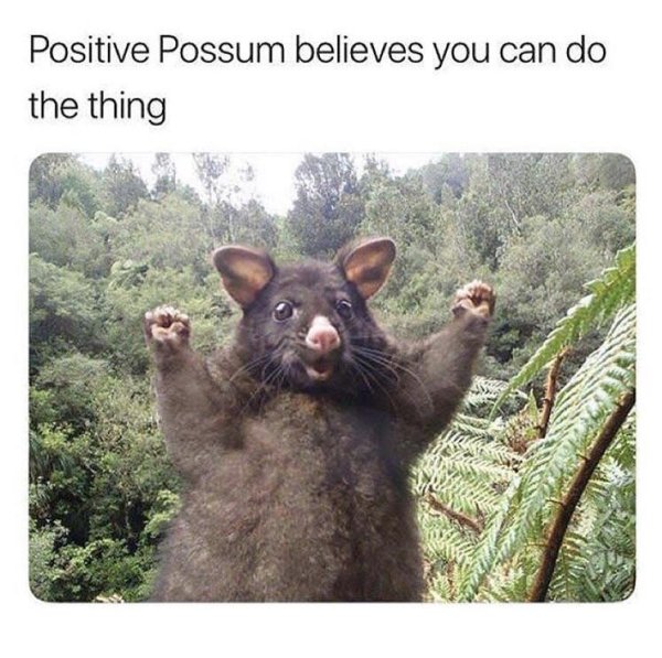 Pictures For Your Motivation (24 pics)