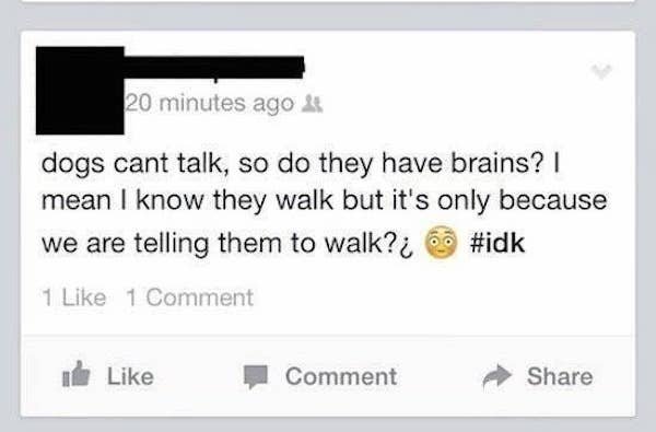 Where Is Logic? (29 pics)