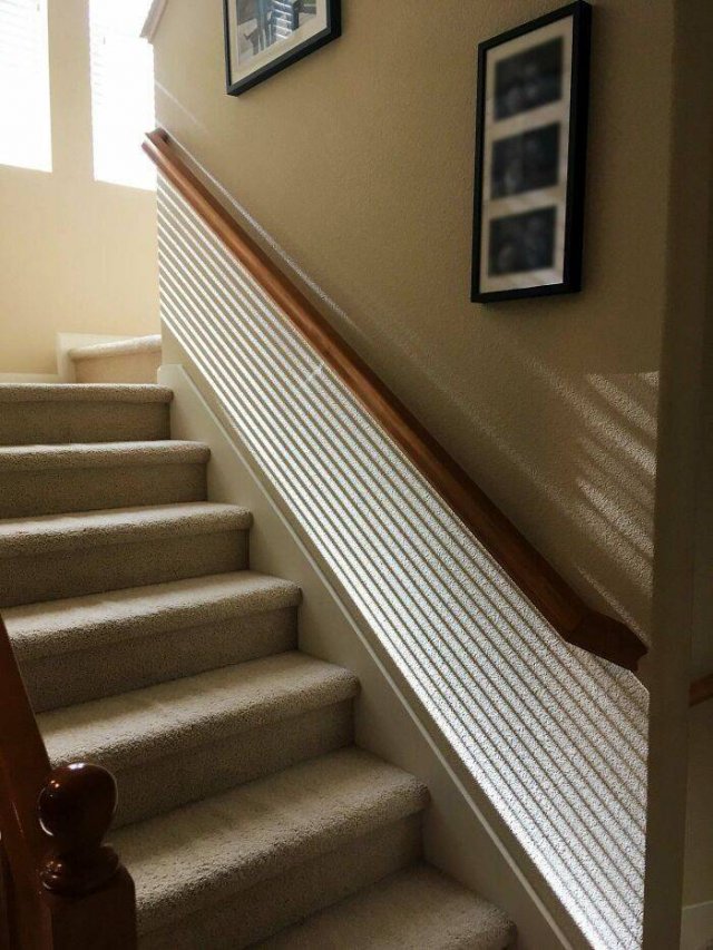When Things Fit Perfectly (45 pics)