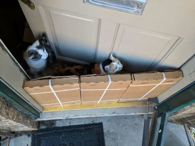 When Things Fit Perfectly (45 pics)