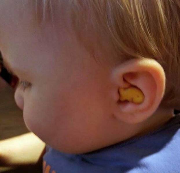 When Things Fit Perfectly (45 pics)
