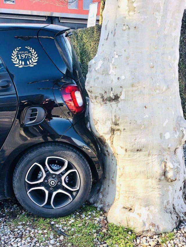 When Things Fit Perfectly (45 pics)