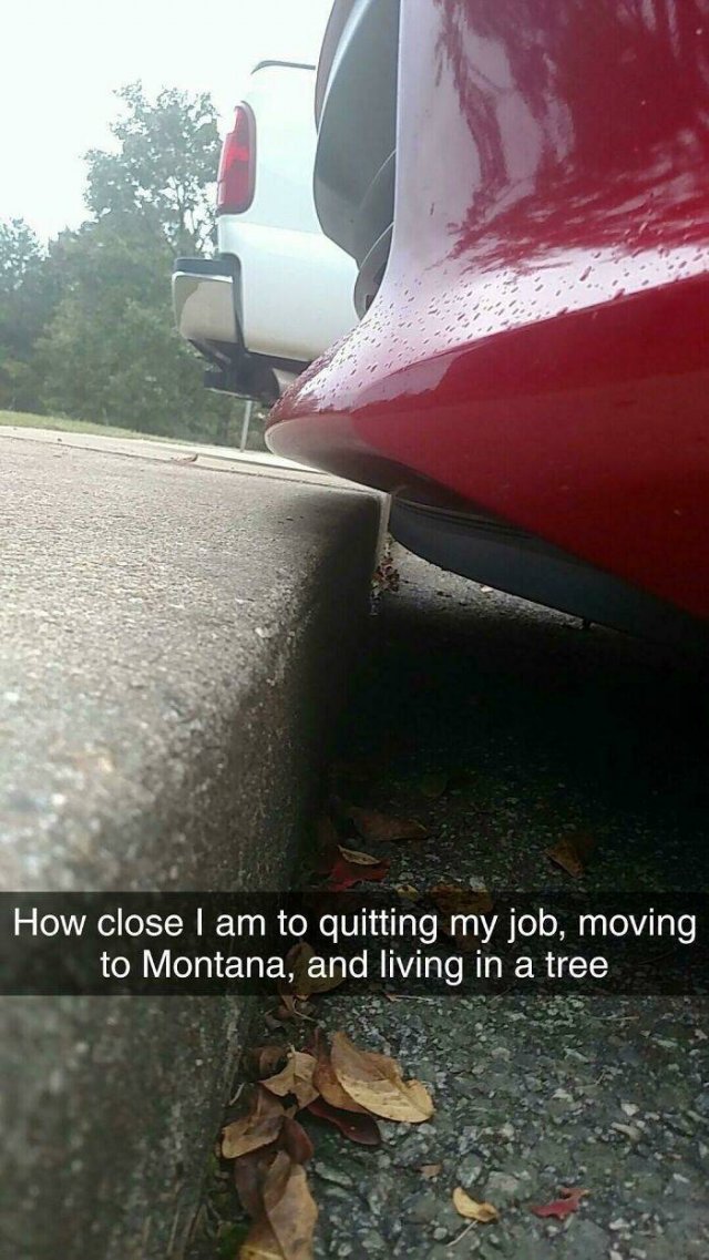 When Things Fit Perfectly (45 pics)