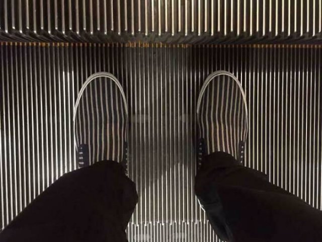 When Things Fit Perfectly (45 pics)