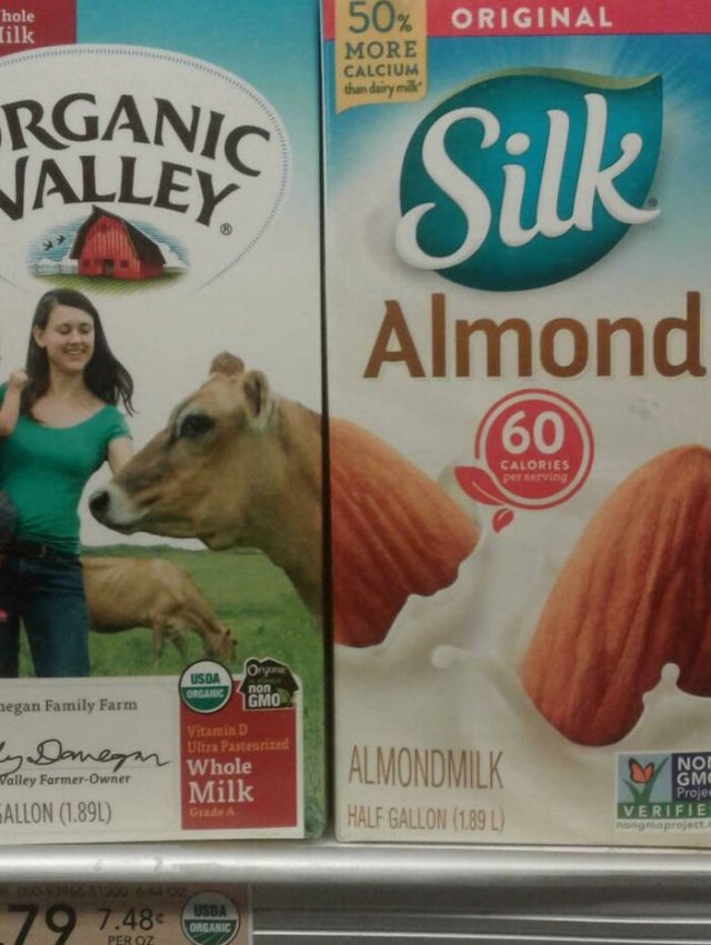 When Things Fit Perfectly (45 pics)