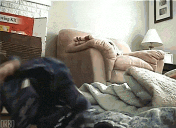 Acid Gifdump, December 9 (25 gifs)