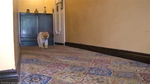 Acid Gifdump, December 9 (25 gifs)