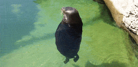Acid Gifdump, December 9 (25 gifs)