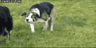 Acid Gifdump, December 9 (25 gifs)