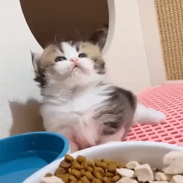 Acid Gifdump, December 9 (25 gifs)