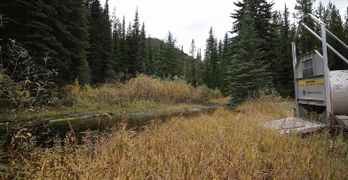 Acid Gifdump, December 9 (25 gifs)