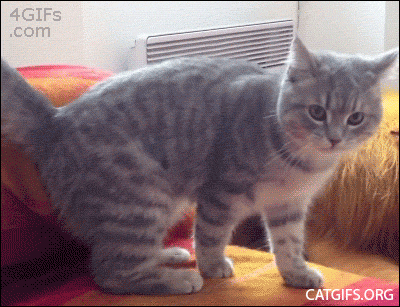 Acid Gifdump, December 9 (25 gifs)