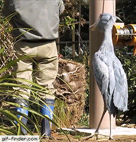 Acid Gifdump, December 9 (25 gifs)