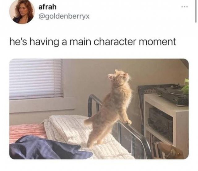Hilarious Memes (46 pics)