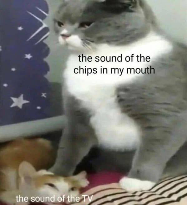 Hilarious Memes (46 pics)