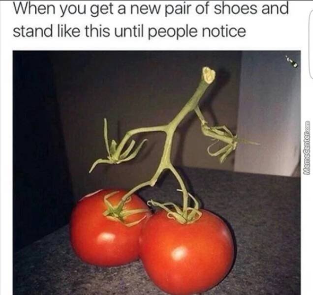 Hilarious Memes (46 pics)