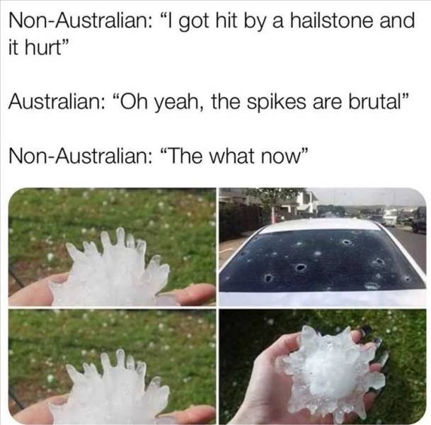 Random Funny Memes (64 pics)
